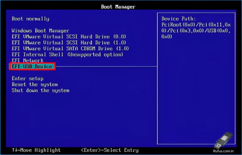 set the USB as the first boot device